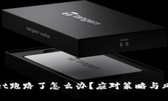  tpWallet跑路了怎么办？应对策略与风险管理