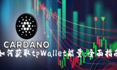 如何获取tpWallet能量：全面