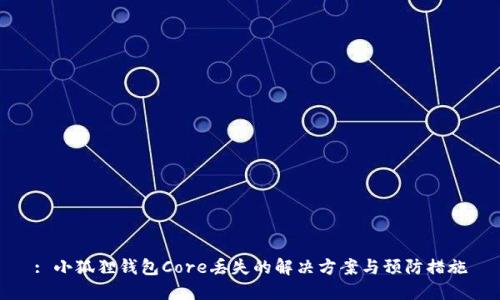 : 小狐狸钱包Core丢失的解决方案与预防措施