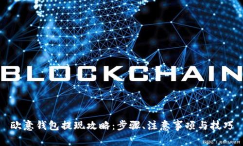 欧意钱包提现攻略：步骤、注意事项与技巧