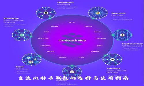 主流比特币钱包的选择与使用指南