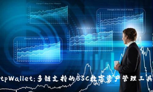 tpWallet：多链支持的BSC数字资产管理工具